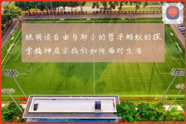 姚明谈自由与渺小的哲学蚂蚁的探索精神启示我们如何面对生活